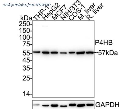 HUABIO ET7110-92 image 1