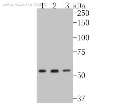 HUABIO ET7110-98 image 2