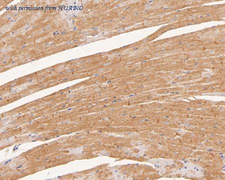 HUABIO ET7111-07 image 2