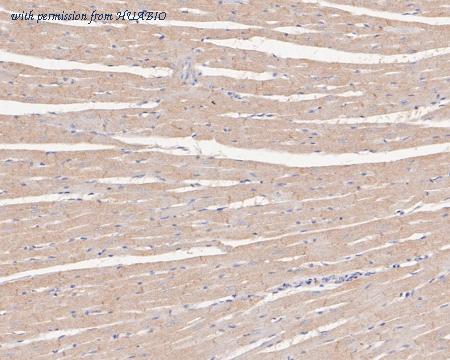 HUABIO ET7111-07 image 3