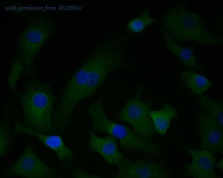 HUABIO ET7111-12 image 3