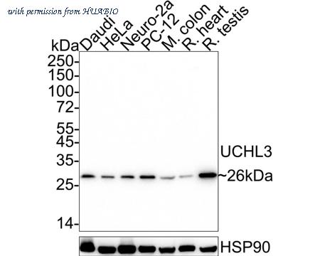 HUABIO ET7111-28 image 1