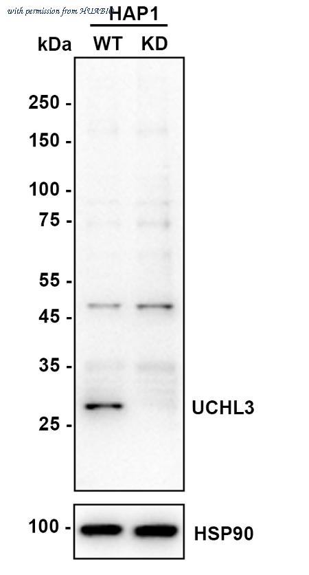 HUABIO ET7111-28 image 2