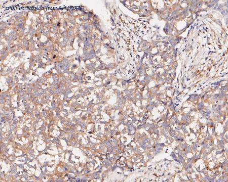 HUABIO HA500066 image 3