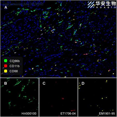 HUABIO HA500100 image 2