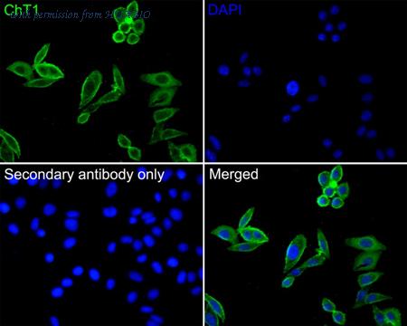 HUABIO HA500314 image 2