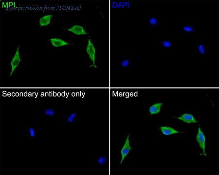HUABIO HA500360 image 3