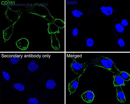HUABIO HA600059 image 2