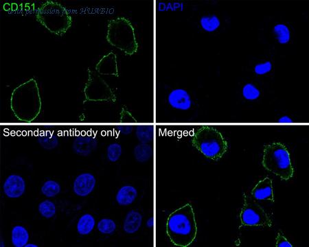 HUABIO HA600059 image 3