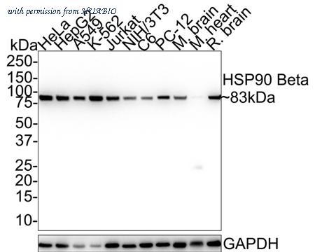 HUABIO HA601176 image 1