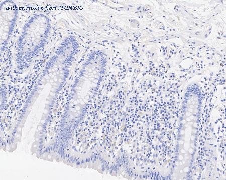 HUABIO HA601302 image 3