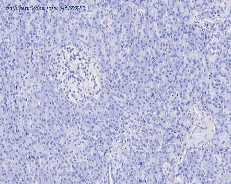 HUABIO HA601329 image 3