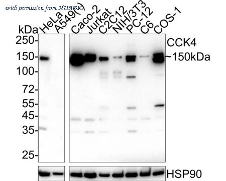 HUABIO HA601344 image 1