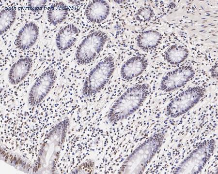 HUABIO HA601350 image 3