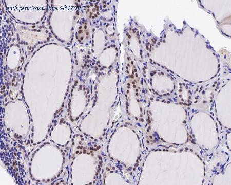 HUABIO HA610048 image 2