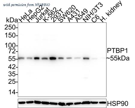 HUABIO HA610075 image 1