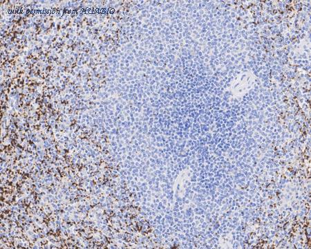 HUABIO HA610202 image 2