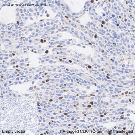 HUABIO HA610320 image 3