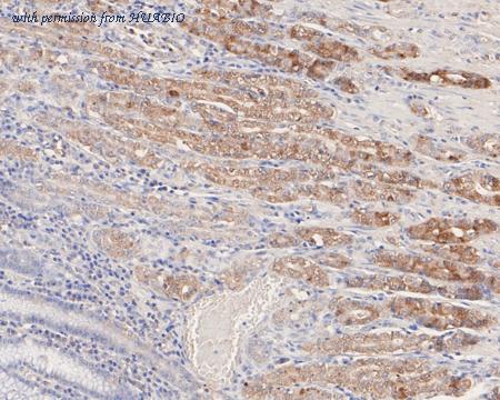 HUABIO HA720080 image 3