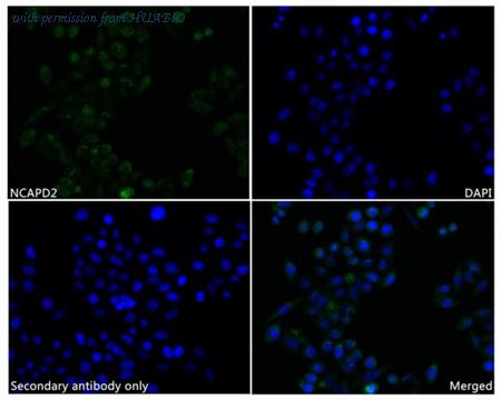 HUABIO HA720100 image 3