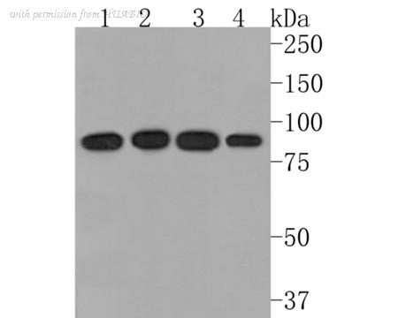 HUABIO HA720109 image 1