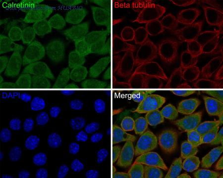 HUABIO HA720153F image 1