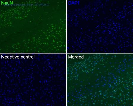 HUABIO HA720168F image 1