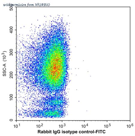 HUABIO HA720191F image 1