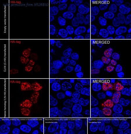 HUABIO HA720224F image 1