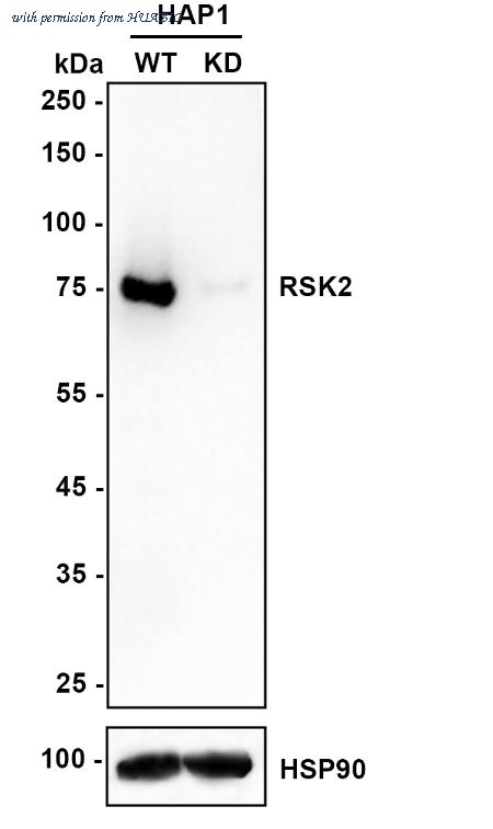 HUABIO HA721033 image 2