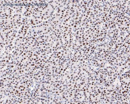 HUABIO HA721075 image 3