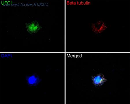 HUABIO HA721111 image 3