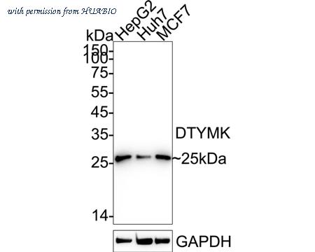 HUABIO HA721116 image 1