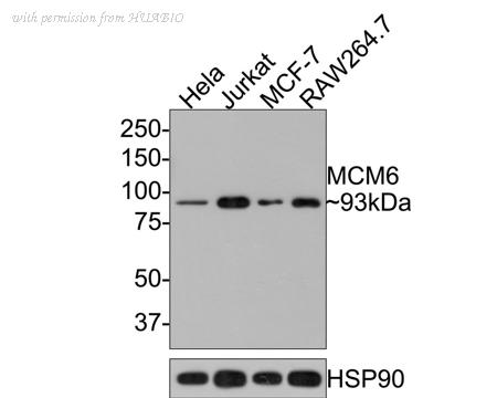 HUABIO HA721117 image 1