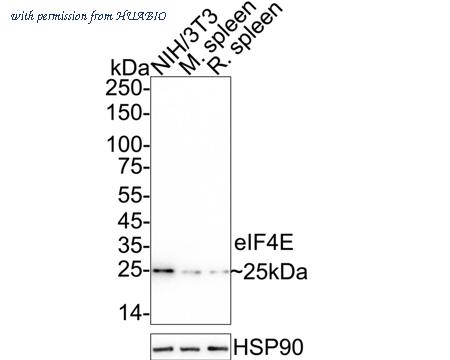 HUABIO HA721192 image 2
