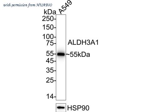 HUABIO HA721201 image 1