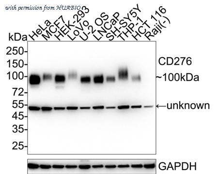 HUABIO HA721245 image 1