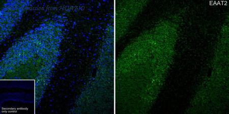 HUABIO HA721323 image 2