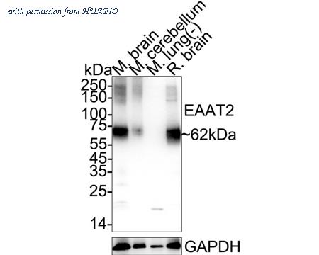 HUABIO HA721323 image 3