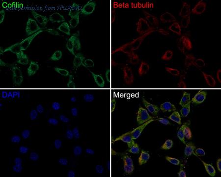 HUABIO HA721326 image 2