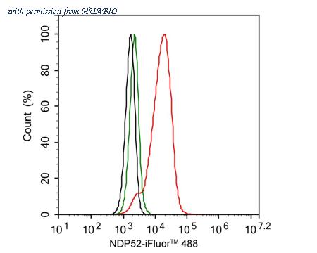 HUABIO HA721356 image 2