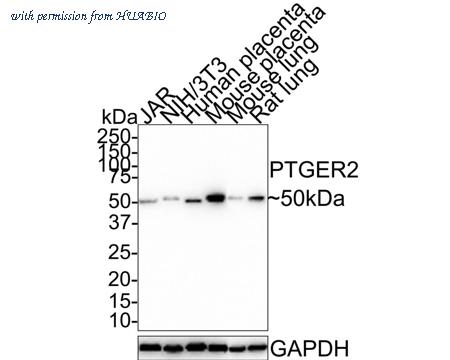 HUABIO HA721380 image 1