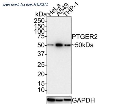 HUABIO HA721380 image 2