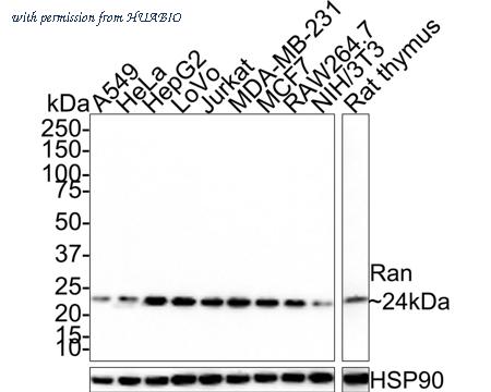 HUABIO HA721406 image 1