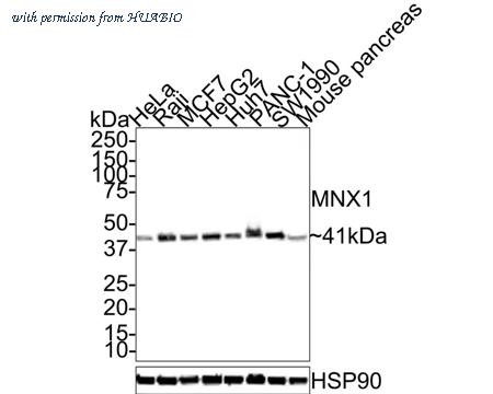 HUABIO HA721410 image 1