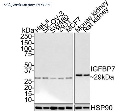 HUABIO HA721423 image 1