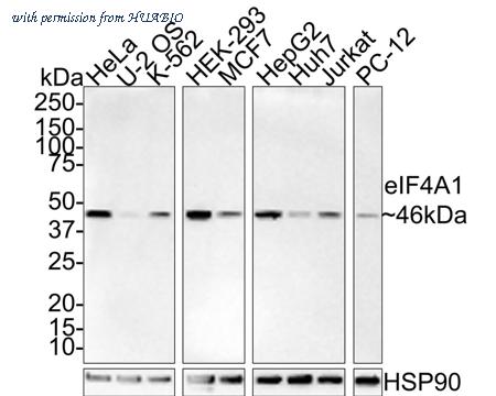HUABIO HA721430 image 1