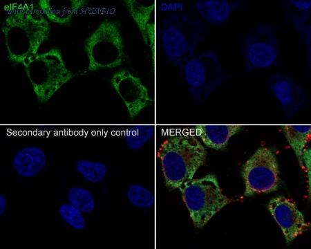 HUABIO HA721430 image 3