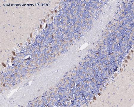 HUABIO HA721435 image 3