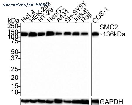 HUABIO HA721450 image 1
